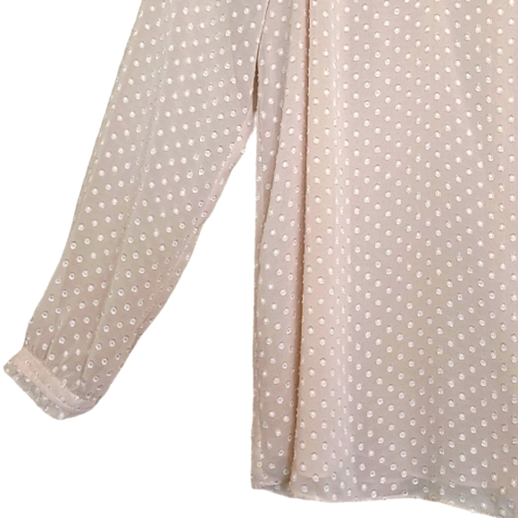 Diane Von Furstenberg Swiss dot cream long sleeved blouse - Picture 4 of 13